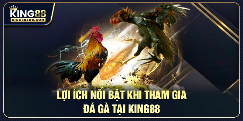 Những lợi ích lớn khi chơi đá gà tại King88
