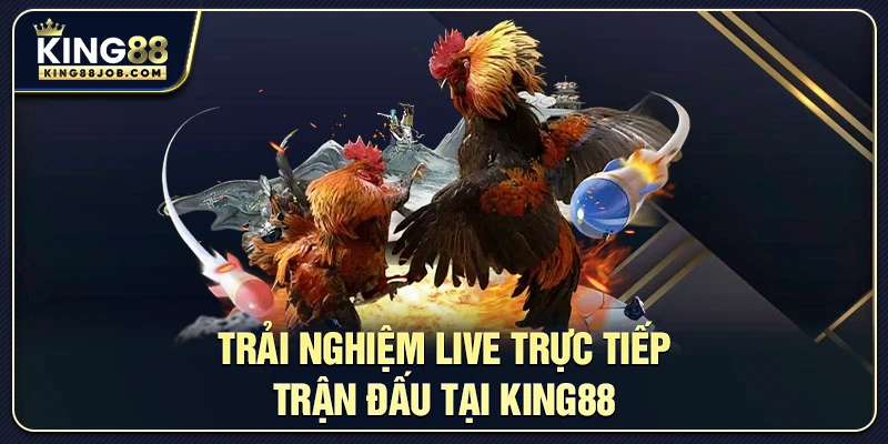 Trải nghiệm live đá gà trực tiếp tại King88 với chất lượng Full HD